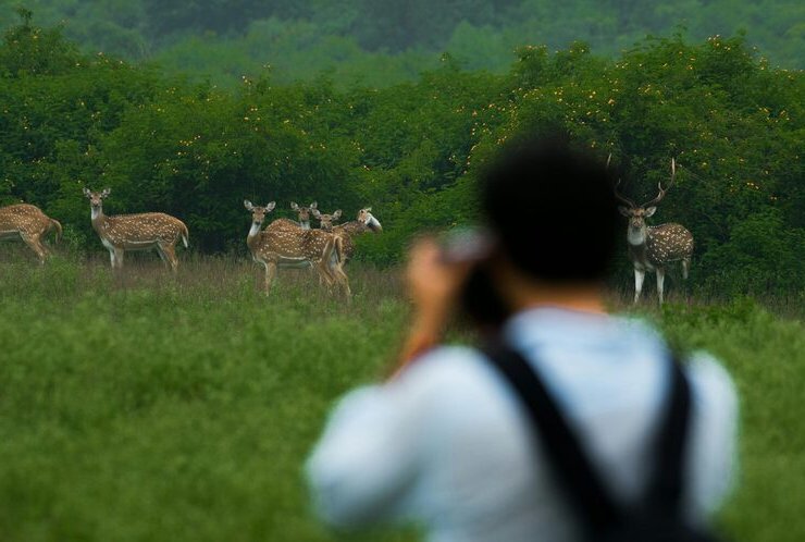 Pench Jungle Camp