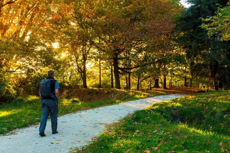 Nature walks in Pench