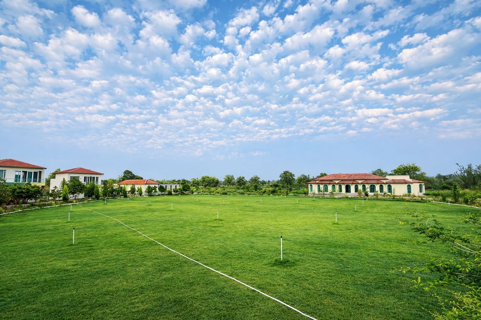 Lawn View